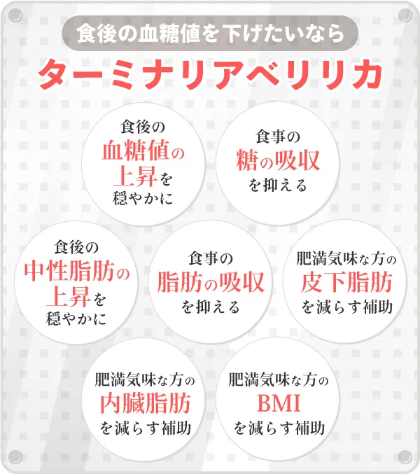 血糖値サプリはお腹周りの脂肪も減らす!脂肪が減ると血糖値も下がる!