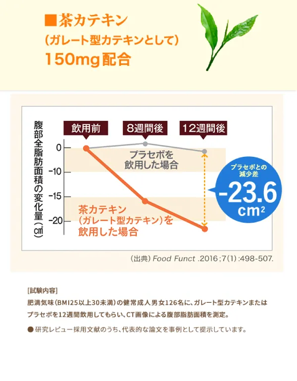 茶カテキンがお腹周りの脂肪を減らし、血糖値を下げる