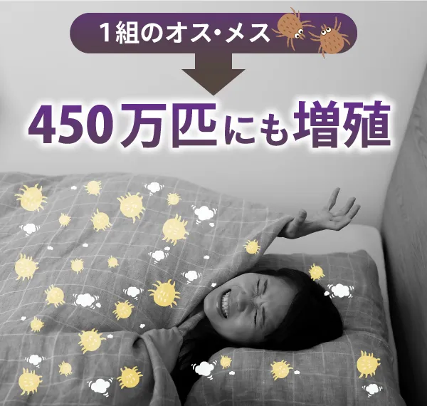 1組のオス・メスから450万匹にも増殖する可能性あり…！