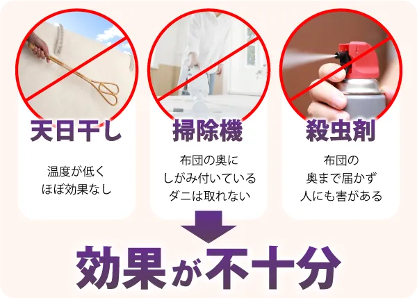 天日干し・掃除機・殺虫剤は意味がない