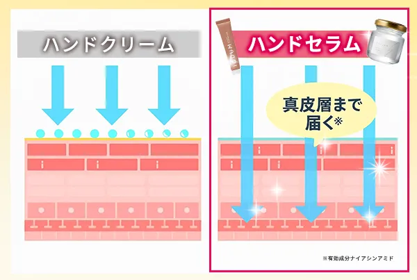 ハンドクリームとハンドセラムの浸透力の違い