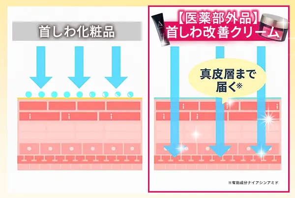 首シワ改善クリームの改善力