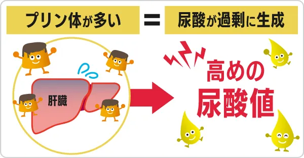 プリン体が多いと尿酸も多くなり、高尿酸値の状態に。痛風などのリスクが高まる。